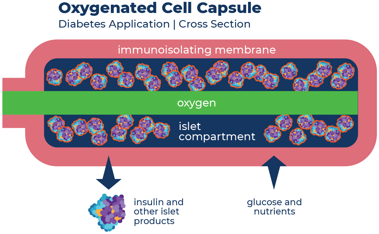 Oxygenated Capsule Diagram